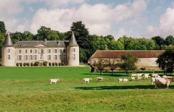 Chateau De Beaujeu Sens-Beaujeu Eksteriør bilde