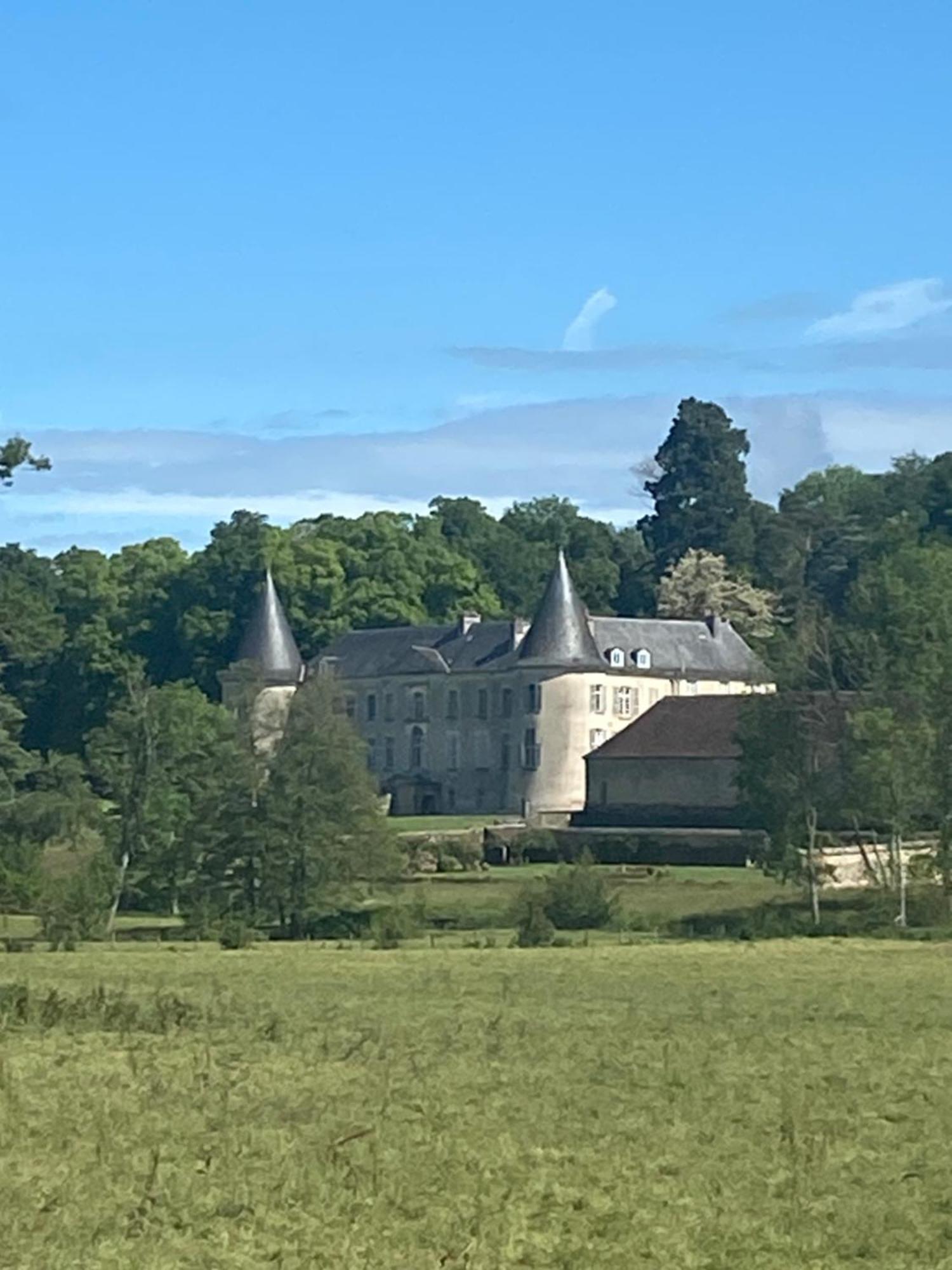 Chateau De Beaujeu Sens-Beaujeu Eksteriør bilde